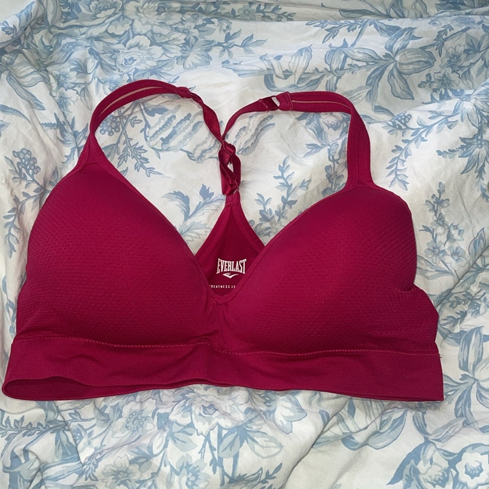 Everlast Sports Bra NWOT in XL